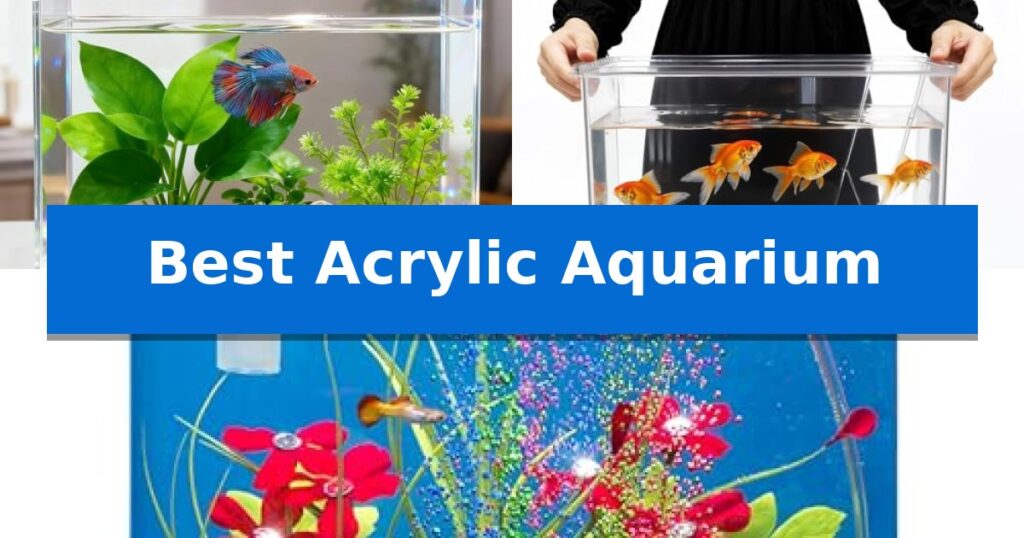 Best Acrylic Aquarium