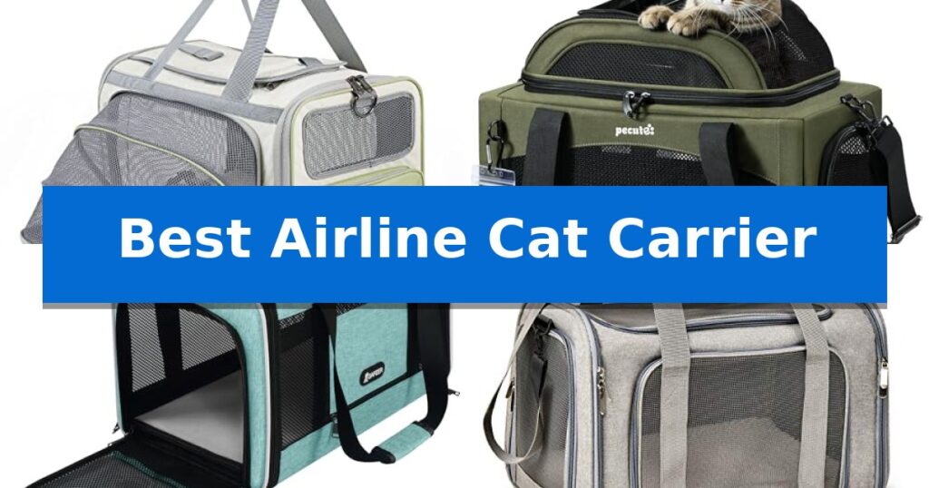 Best Airline Cat Carrier
