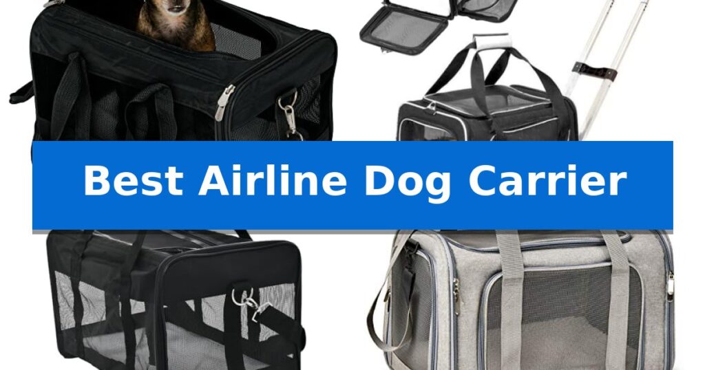 Best Airline Dog Carrier
