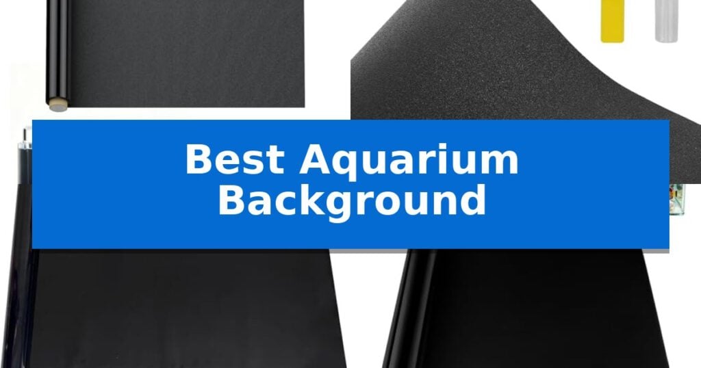 Best Aquarium Background