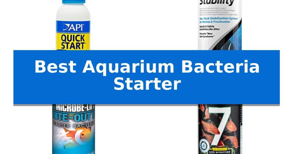 Best Aquarium Bacteria Starter