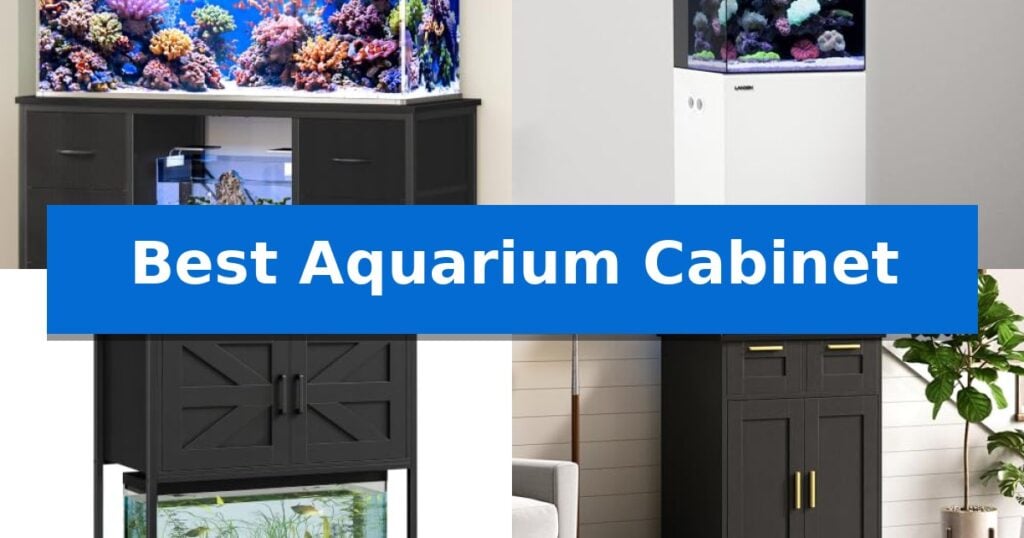 Best Aquarium Cabinet