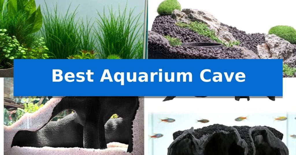Best Aquarium Cave