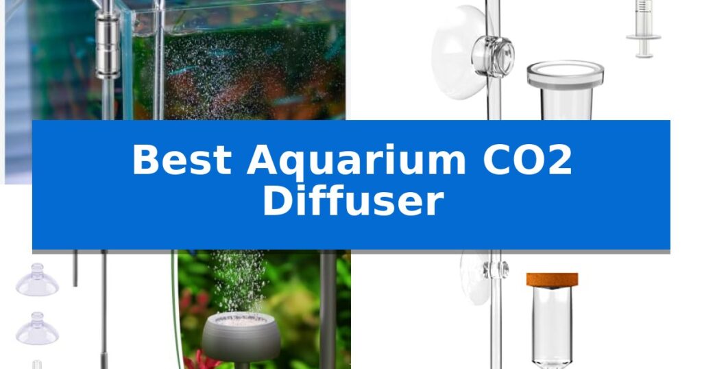 Best Aquarium CO2 Diffuser