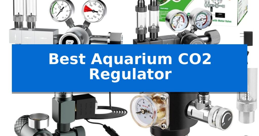 Best Aquarium CO2 Regulator