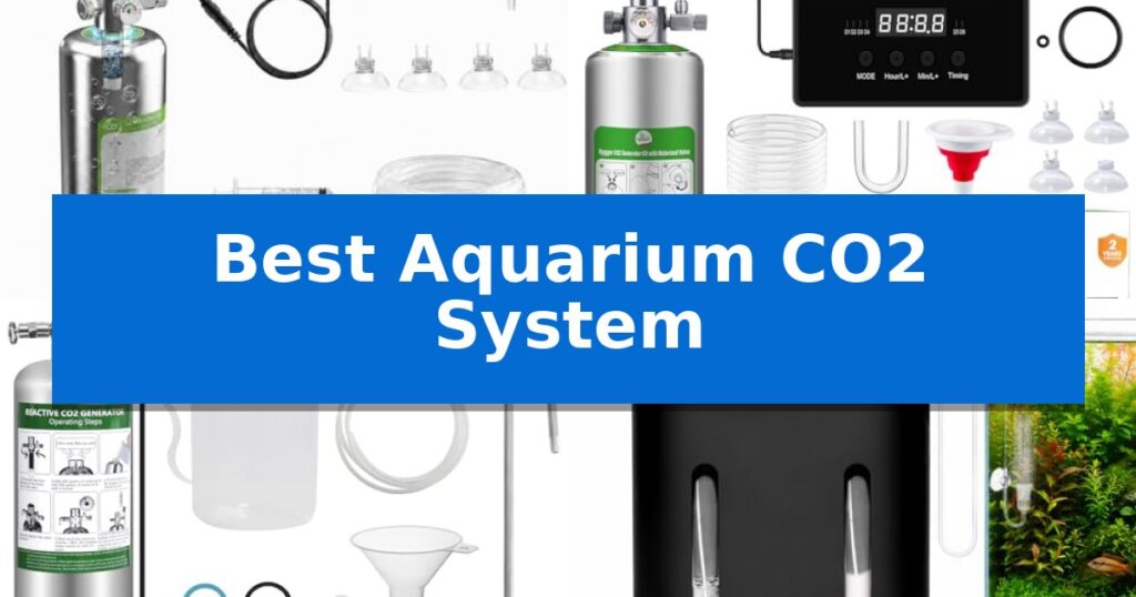 Best Aquarium CO2 System