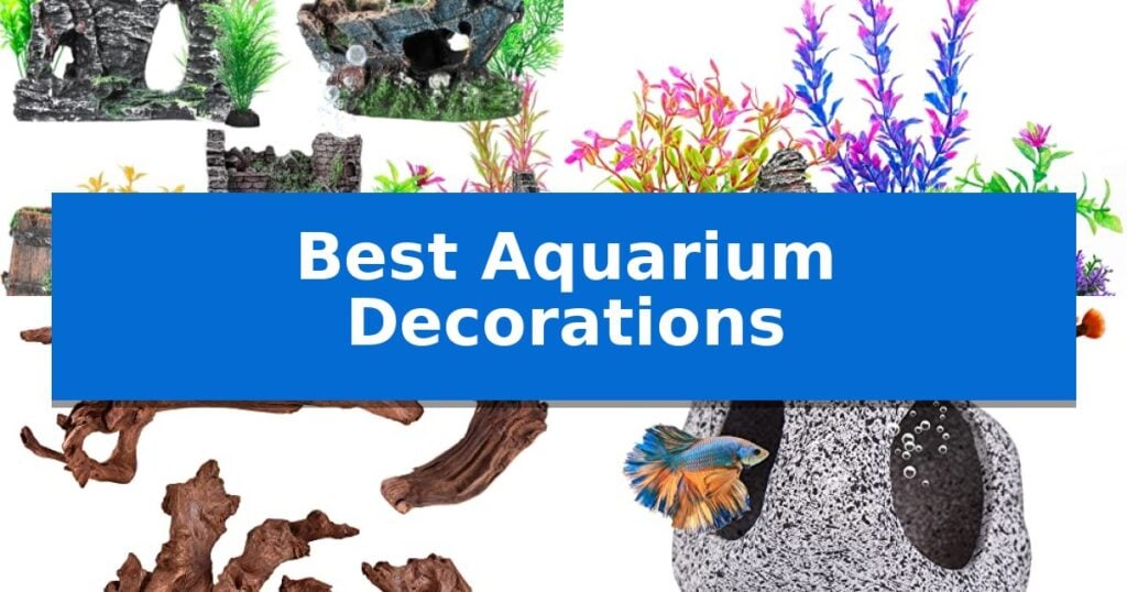 Best Aquarium Decorations