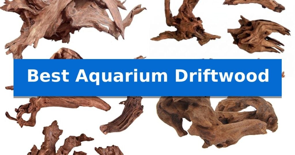 Best Aquarium Driftwood