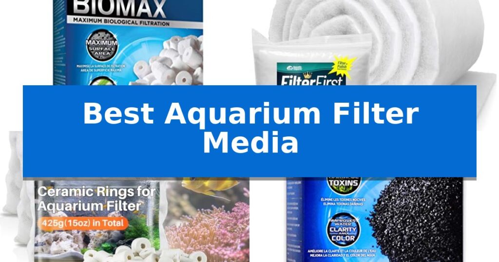 Best Aquarium Filter Media