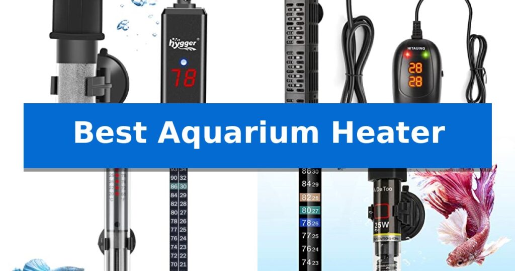 Best Aquarium Heater