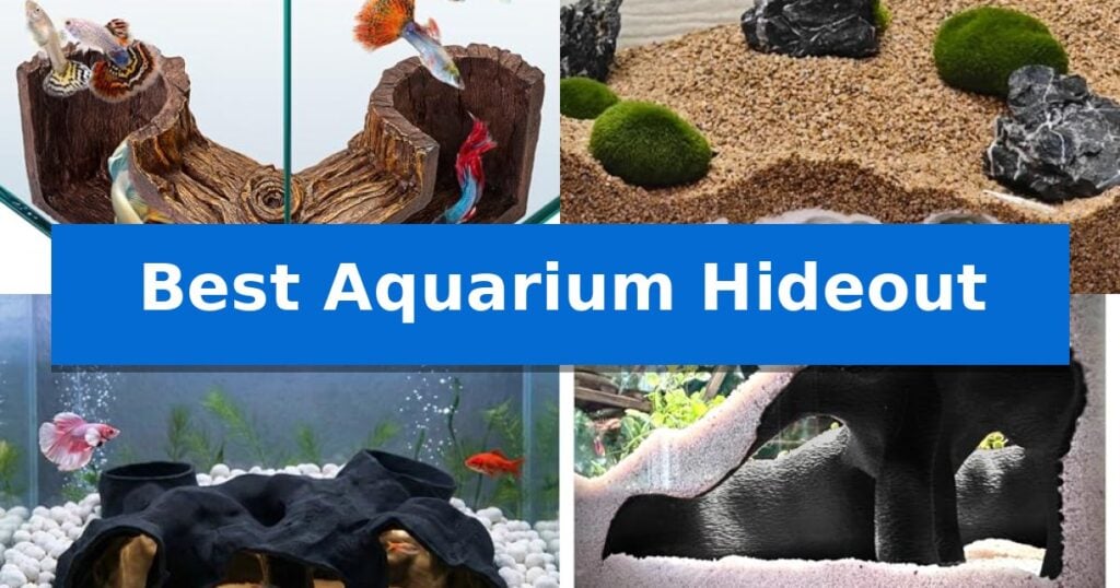 Best Aquarium Hideout