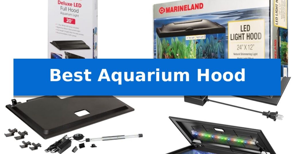 Best Aquarium Hood