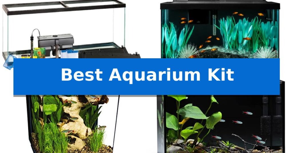 Best Aquarium Kit