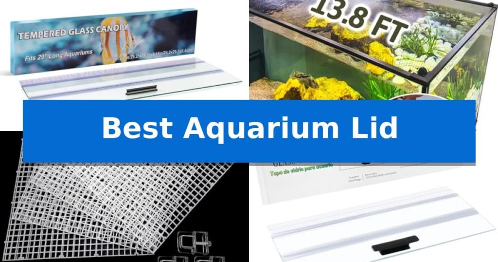 Best Aquarium Lid