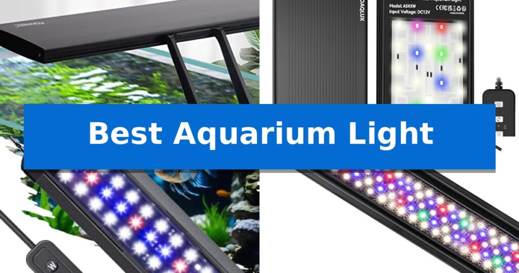 Best Aquarium Light