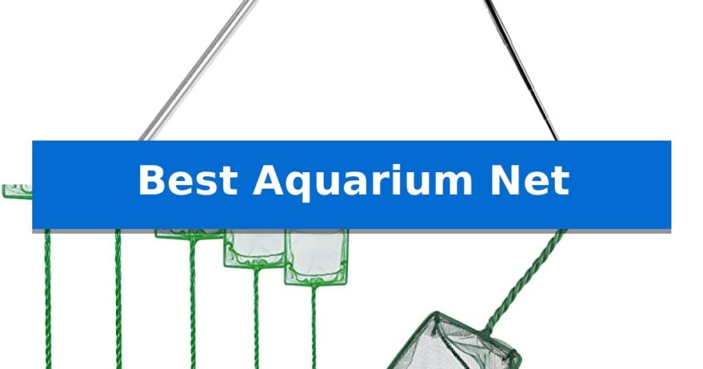 Best Aquarium Net