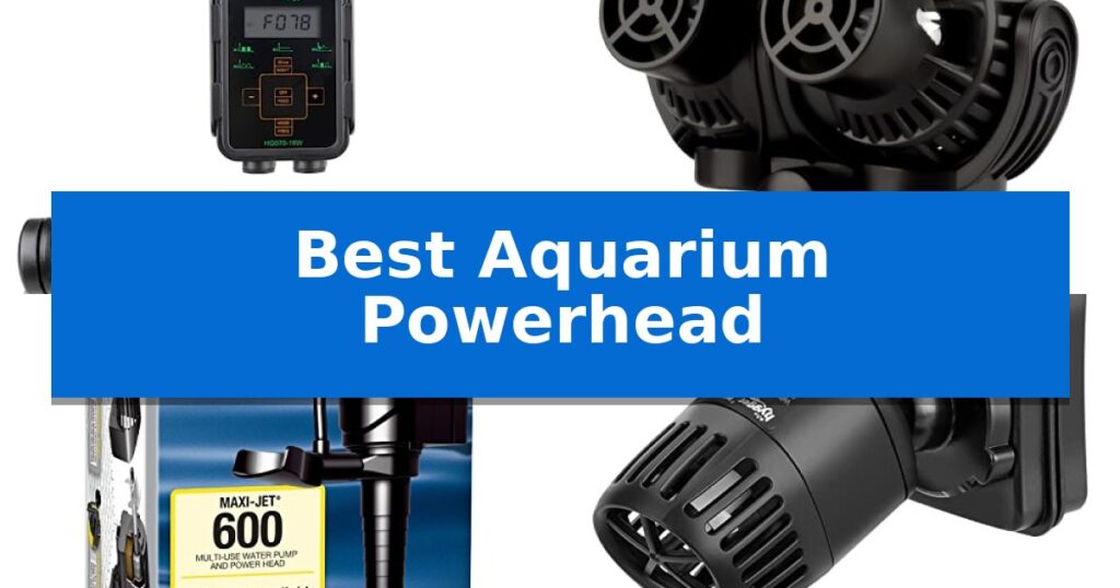 Best Aquarium Powerhead