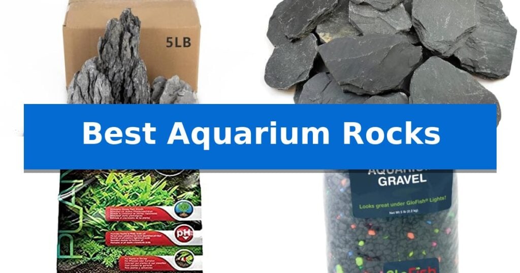 Best Aquarium Rocks