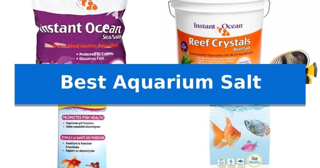 Best Aquarium Salt