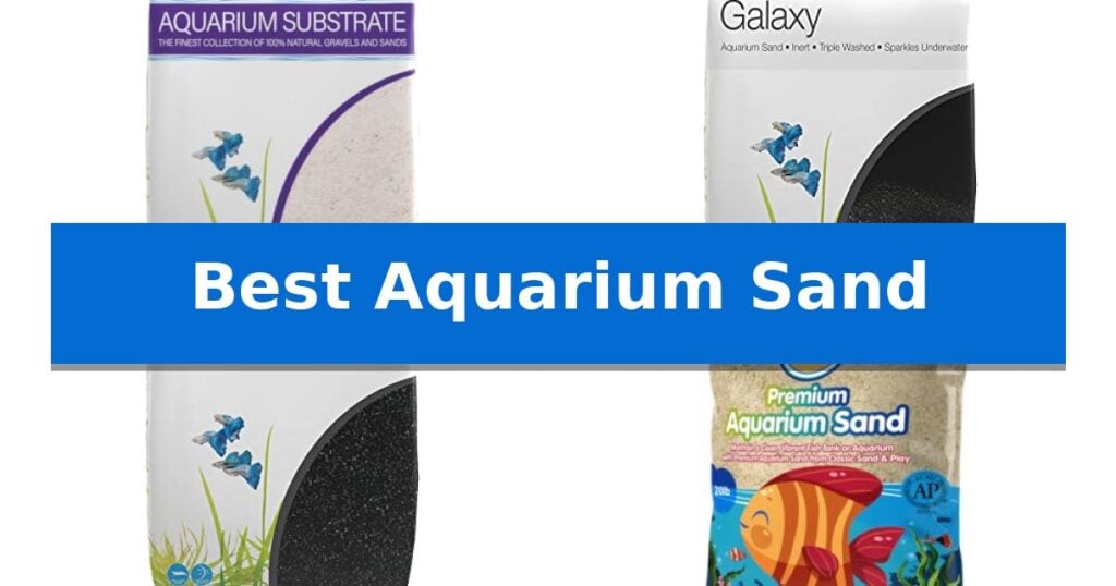 Best Aquarium Sand