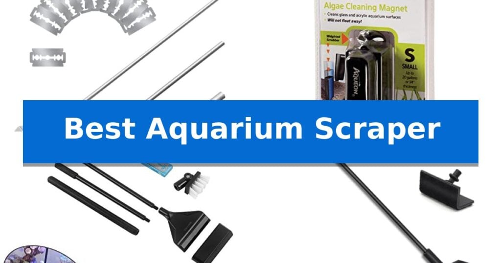 Best Aquarium Scraper