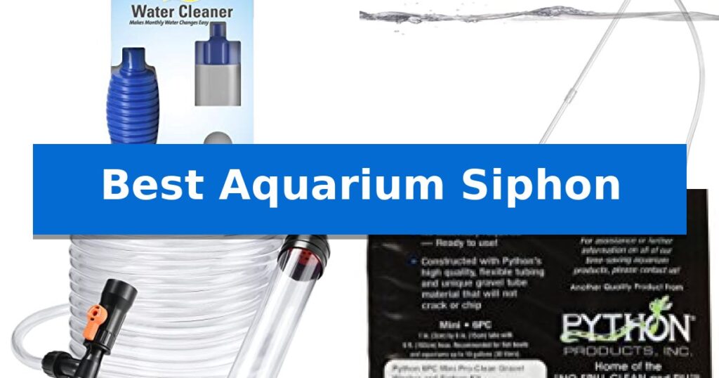 Best Aquarium Siphon