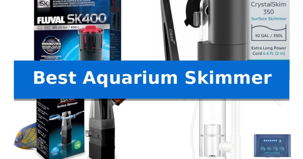 Best Aquarium Skimmer