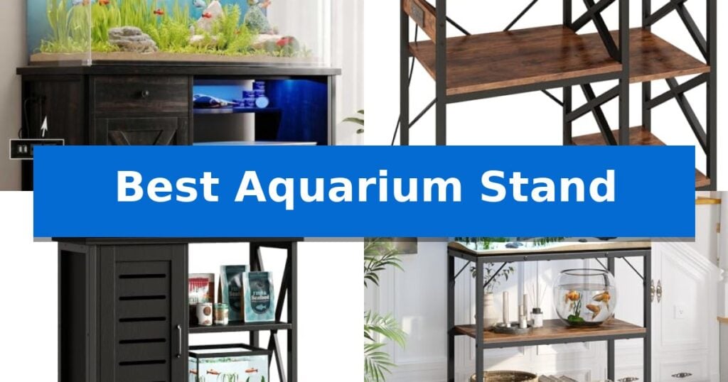 Best Aquarium Stand