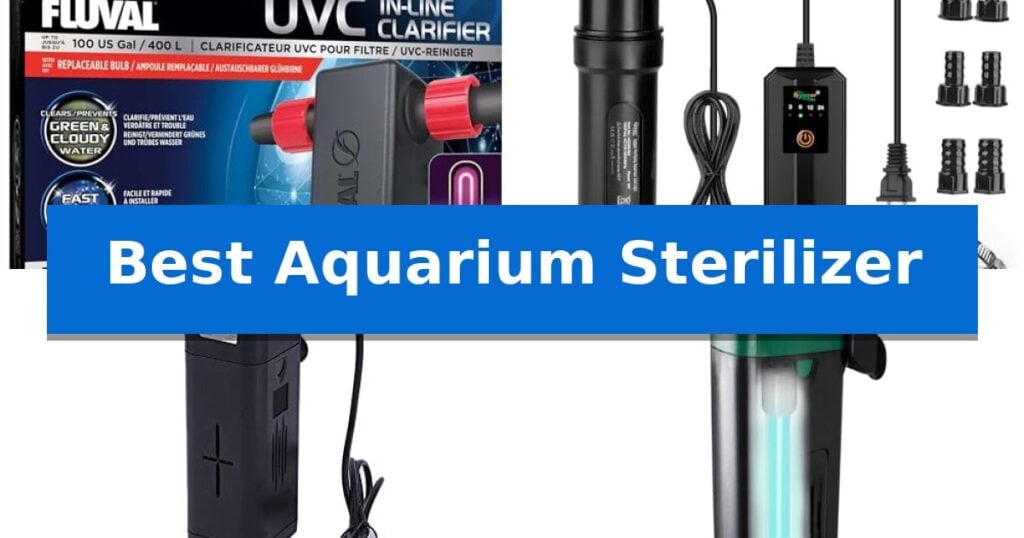 Best Aquarium Sterilizer