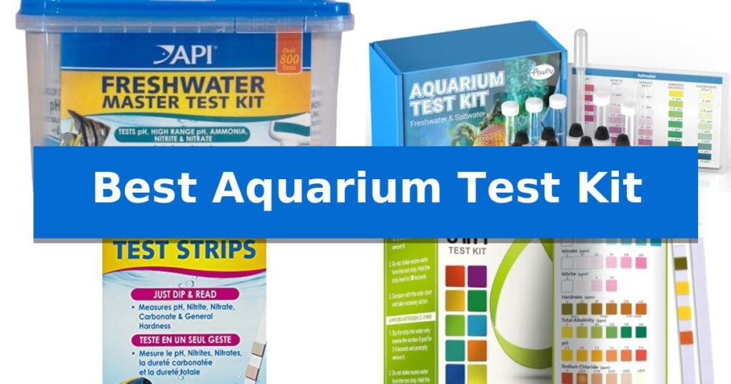 Best Aquarium Test Kit