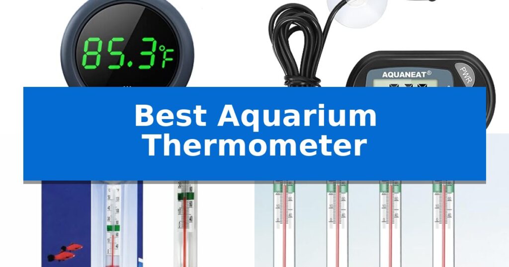Best Aquarium Thermometer