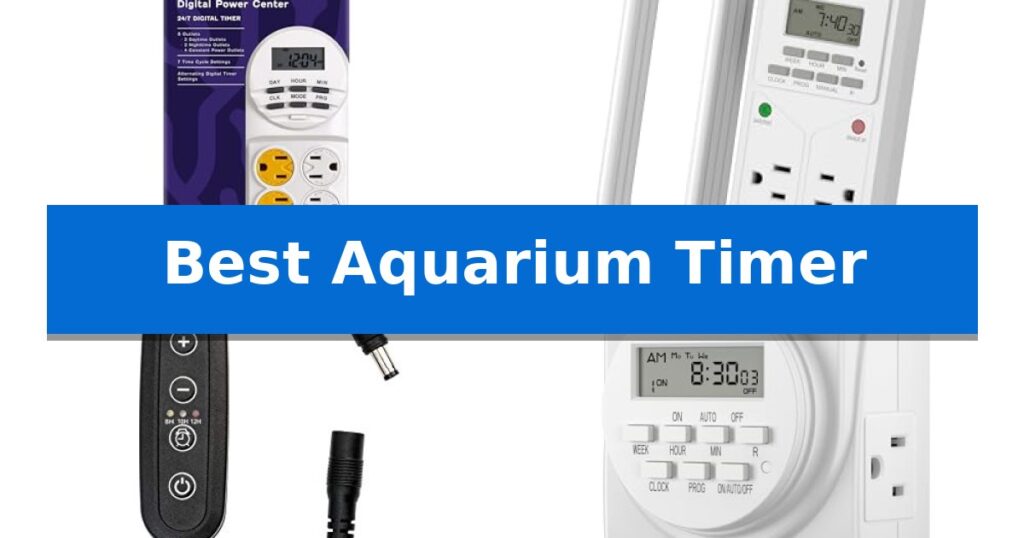 Best Aquarium Timer