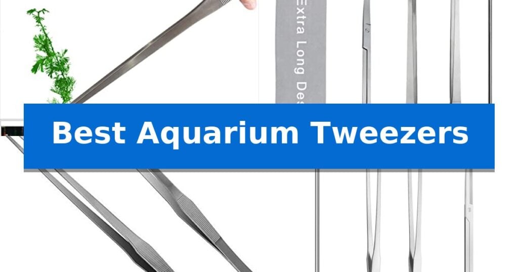 Best Aquarium Tweezers