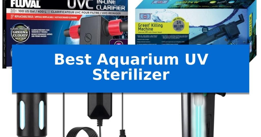 Best Aquarium UV Sterilizer