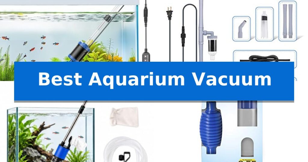 Best Aquarium Vacuum