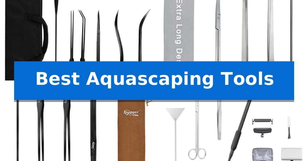 Best Aquascaping Tools