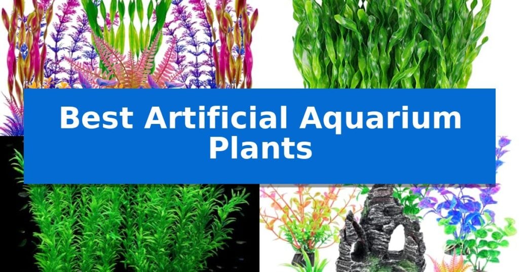 Best Artificial Aquarium Plants