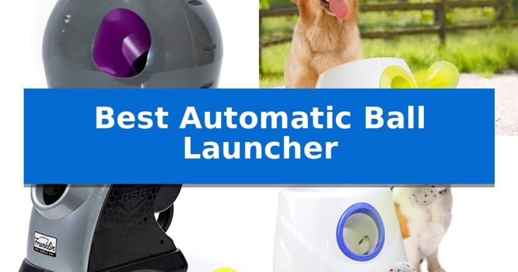Best Automatic Ball Launcher