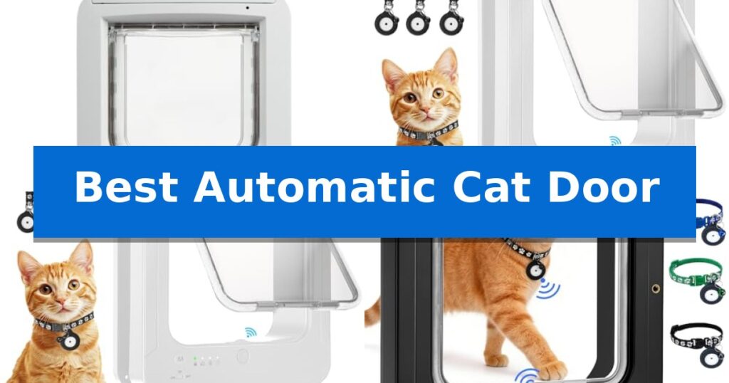 Best Automatic Cat Door