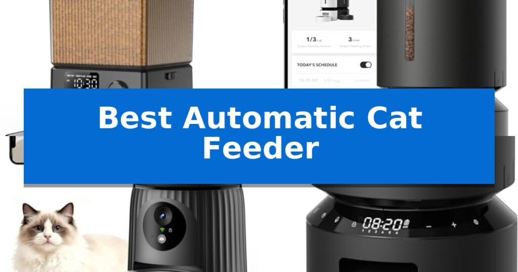 Best Automatic Cat Feeder