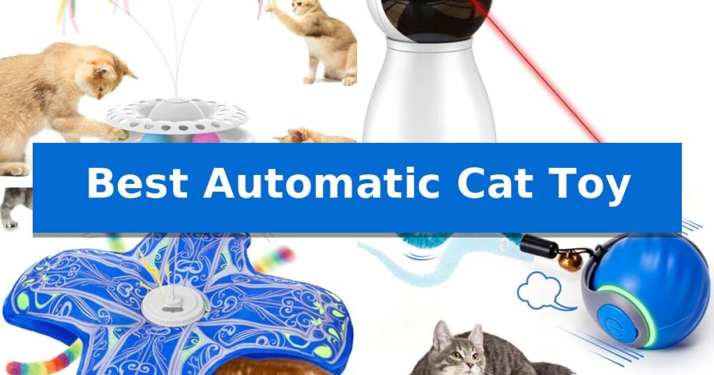 Best Automatic Cat Toy