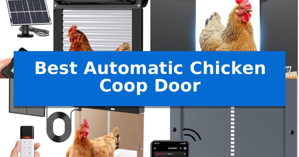 Best Automatic Chicken Coop Door