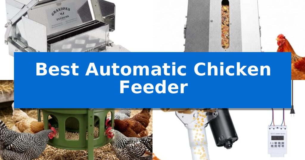 Best Automatic Chicken Feeder