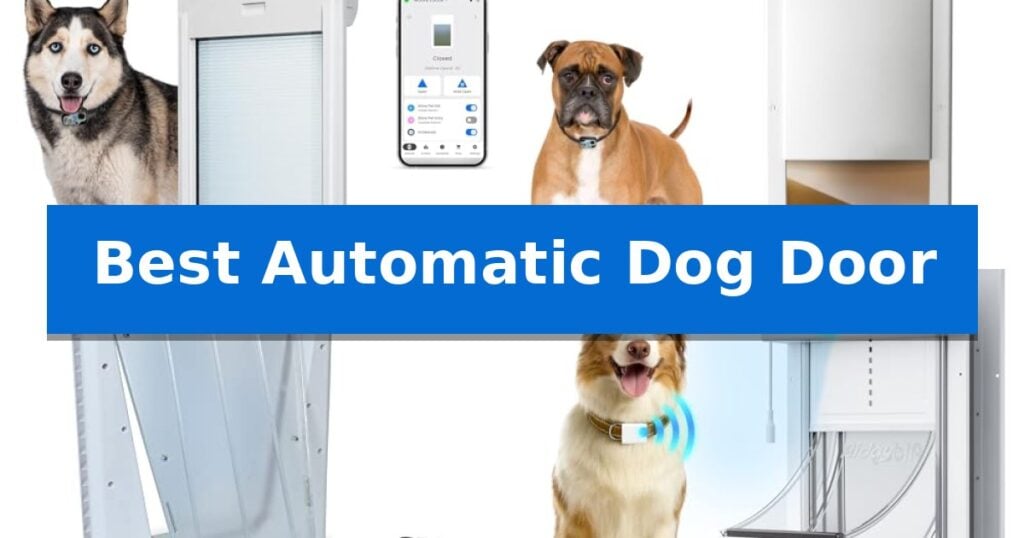 Best Automatic Dog Door