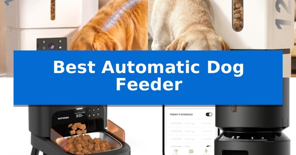 Best Automatic Dog Feeder