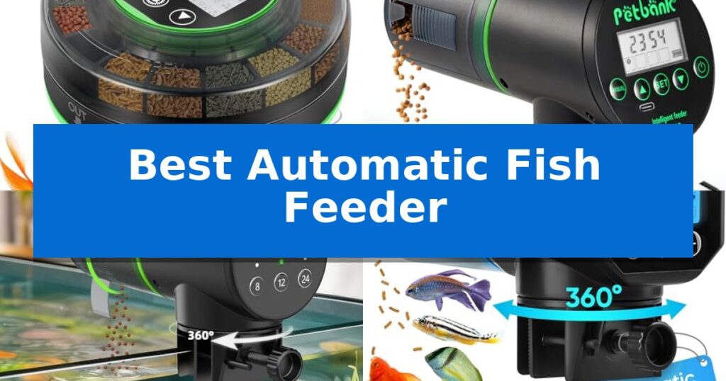 Best Automatic Fish Feeder