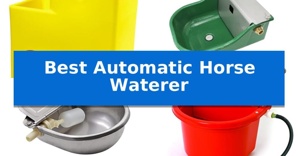 Best Automatic Horse Waterer