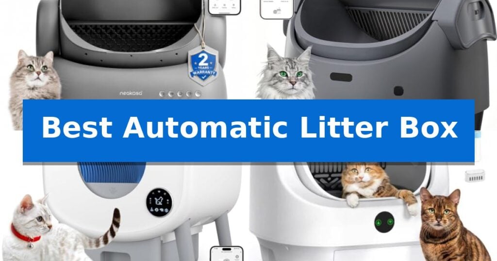 Best Automatic Litter Box
