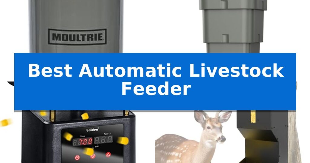 Best Automatic Livestock Feeder