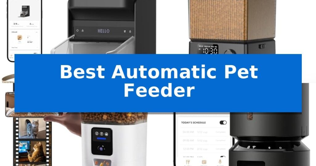Best Automatic Pet Feeder